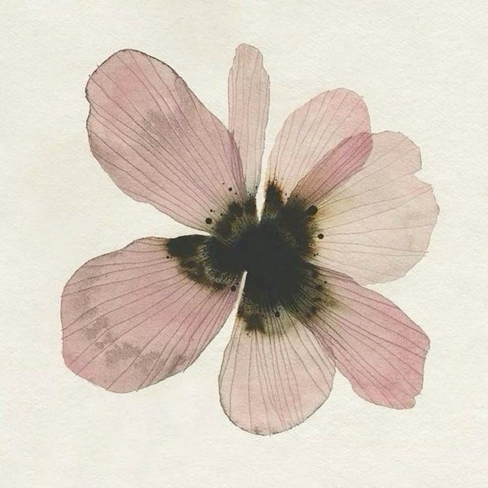 Elegant Pink Floral Art Print